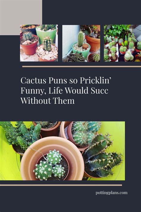 smarta ordvitsar|Cactus Puns: Pricklin Funny Power Words That Make Life Succ